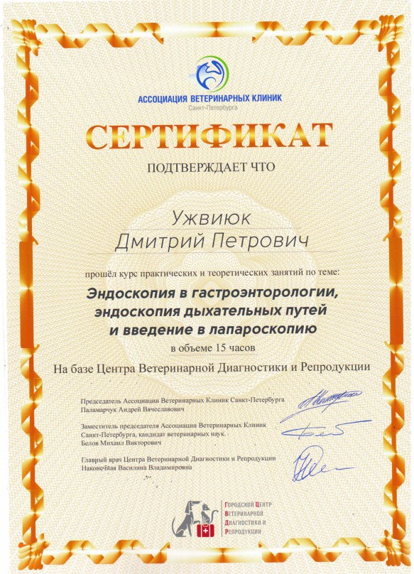 сертификат специалиста 4
